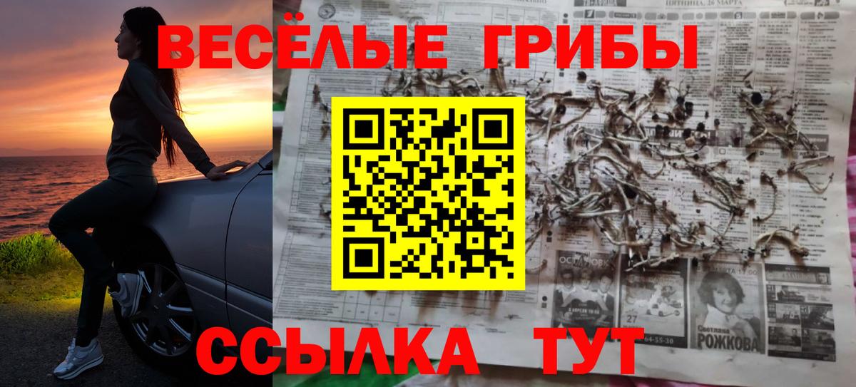 Псилоцибиновые грибы MAGIC MUSHROOMS  купить наркоту  Карабулак  Вход с VPN 